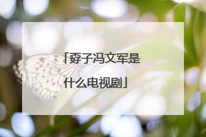 孬子冯文军是什么电视剧