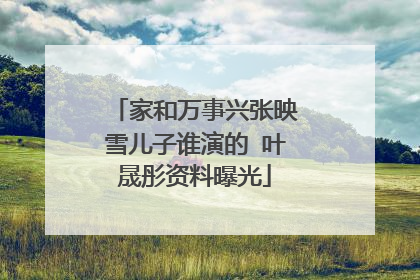 家和万事兴张映雪儿子谁演的 叶晟彤资料曝光
