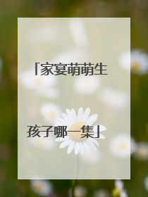 家宴萌萌生孩子哪一集