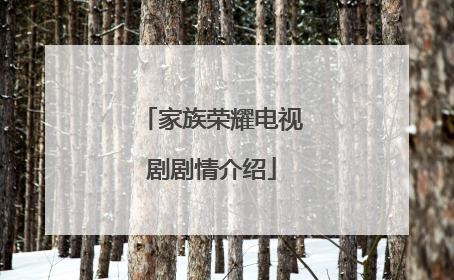 家族荣耀电视剧剧情介绍