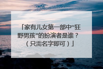 家有儿女第一部中“狂野男孩”的扮演者是谁？（只需名字即可）