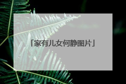 家有儿女何静图片