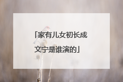 家有儿女初长成文宁是谁演的