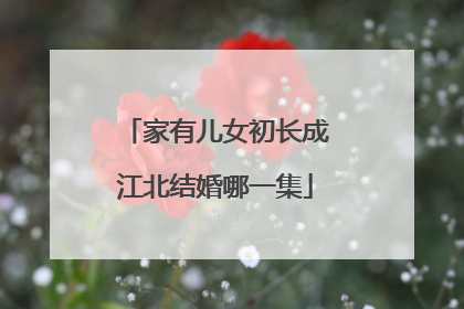 家有儿女初长成江北结婚哪一集