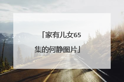 家有儿女65集的何静图片