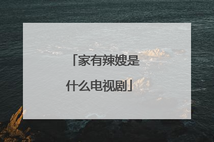 家有辣嫂是什么电视剧