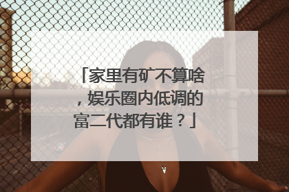 家里有矿不算啥,娱乐圈内低调的富二代都有谁?