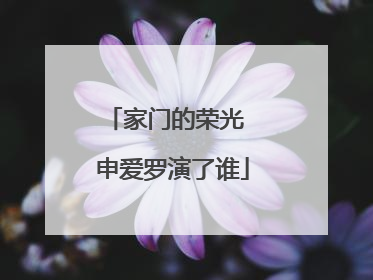 家门的荣光 申爱罗演了谁