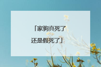 家驹真死了还是假死了