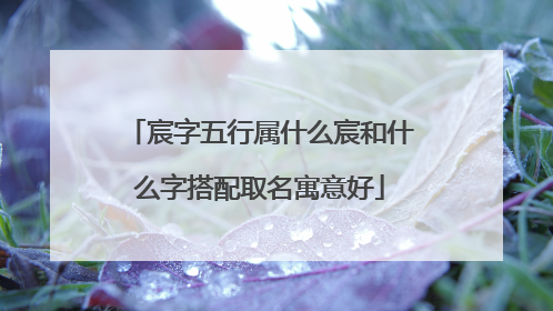 宸字五行属什么宸和什么字搭配取名寓意好