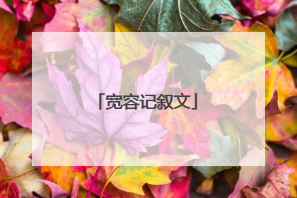宽容记叙文