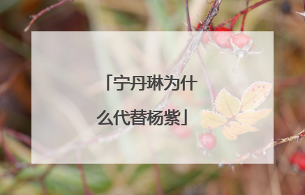 宁丹琳为什么代替杨紫