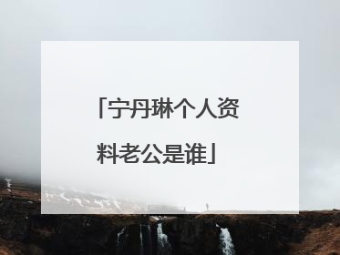 宁丹琳个人资料老公是谁