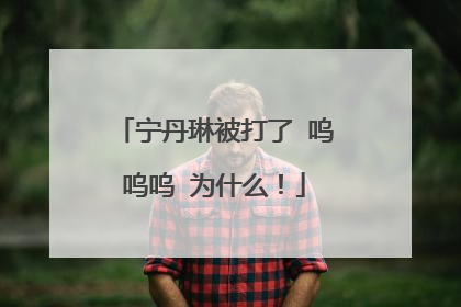 宁丹琳被打了 呜呜呜 为什么！