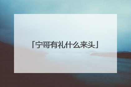 宁哥有礼什么来头