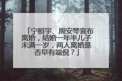 宁桓宇、周安琴宣布离婚,结婚一年半儿子未满一岁,两人离婚是否早有端倪?