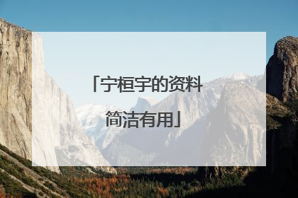 宁桓宇的资料 简洁有用