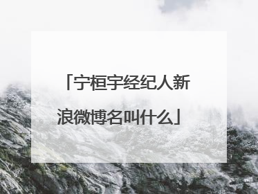 宁桓宇经纪人新浪微博名叫什么