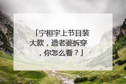 宁桓宇上节目装大款,遭老婆拆穿,你怎么看?
