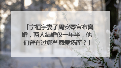 宁桓宇妻子周安琴宣布离婚，两人结婚仅一年半，他们曾有过哪些恩爱场面？