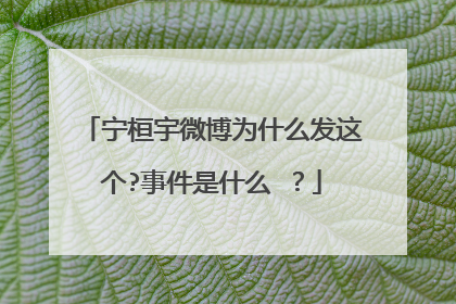 宁桓宇微博为什么发这个?事件是什么 ?