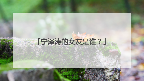 宁泽涛的女友是谁?