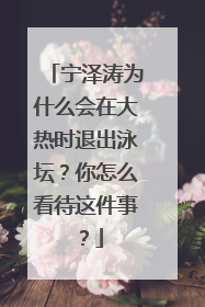 宁泽涛为什么会在大热时退出泳坛?你怎么看待这件事?