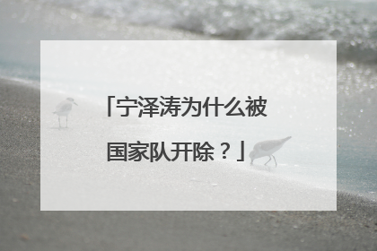 宁泽涛为什么被国家队开除?