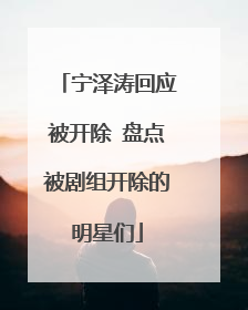 宁泽涛回应被开除 盘点被剧组开除的明星们