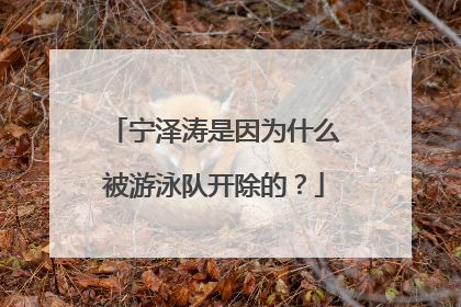 宁泽涛是因为什么被游泳队开除的？