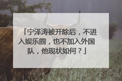 宁泽涛被开除后,不进入娱乐圈,也不加入外国队,他现状如何?