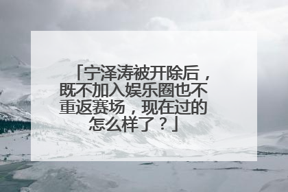 宁泽涛被开除后,既不加入娱乐圈也不重返赛场,现在过的怎么样了?