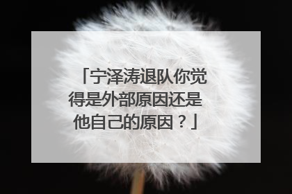 宁泽涛退队你觉得是外部原因还是他自己的原因?