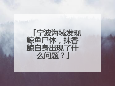 宁波海域发现鲸鱼尸体,抹香鲸自身出现了什么问题?