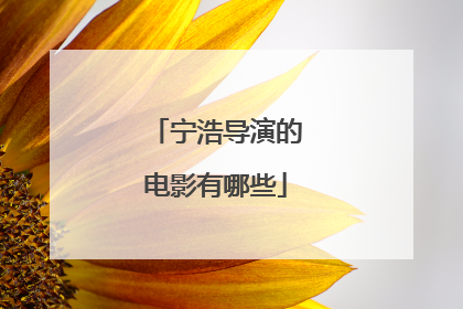 宁浩导演的电影有哪些