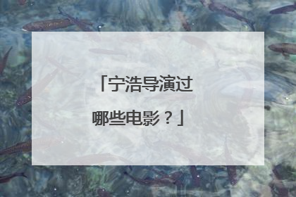 宁浩导演过哪些电影？