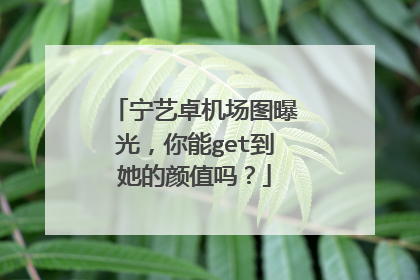 宁艺卓机场图曝光,你能get到她的颜值吗?