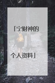 宁财神的个人资料