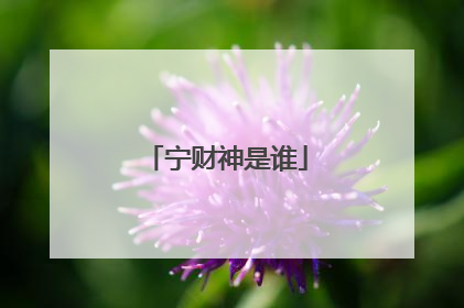 宁财神是谁