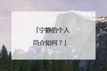 宁静的个人简介如何？