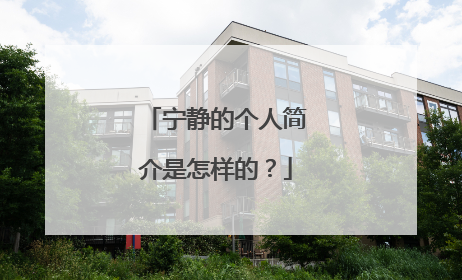 宁静的个人简介是怎样的？