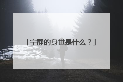 宁静的身世是什么？