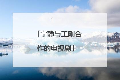 宁静与王刚合作的电视剧