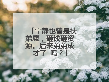 宁静也曾是扶弟魔，砸钱砸资源。后来弟弟成才了 吗？