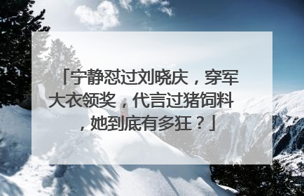 宁静怼过刘晓庆,穿军大衣领奖,代言过猪饲料,她到底有多狂?