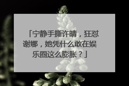 宁静手撕许晴,狂怼谢娜,她凭什么敢在娱乐圈这么膨胀?