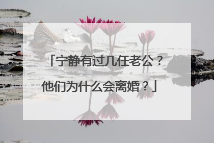 宁静有过几任老公?他们为什么会离婚?
