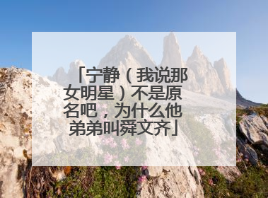 宁静（我说那女明星）不是原名吧，为什么他弟弟叫舜文齐