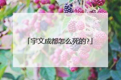 宇文成都怎么死的?
