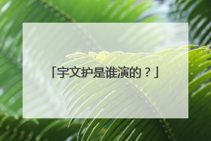 宇文护是谁演的？